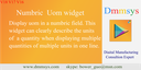 Number Uom Widget