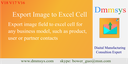 Dmmsys export image to excel